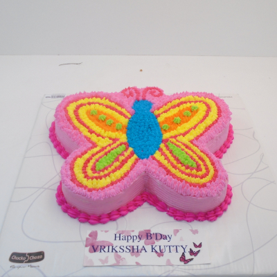 Butterfly Shape Cake - 1